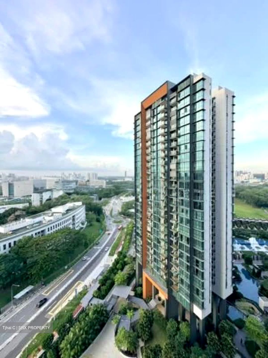 Normanton Park (D5), Apartment #592413651